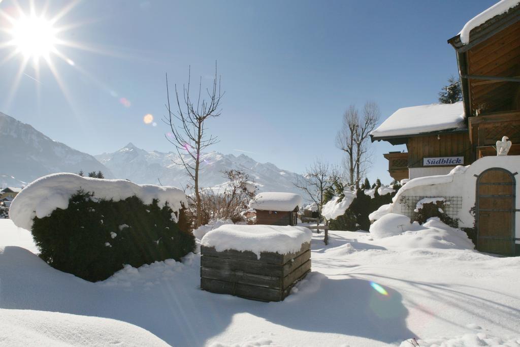 Haus Sudblick Apartment Zell am See